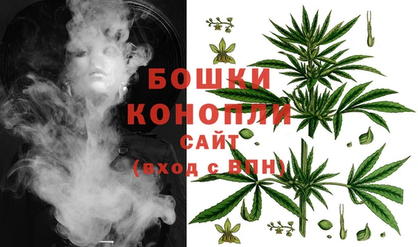 COCAINE Белокуриха