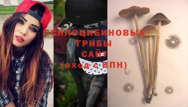 COCAINE Белокуриха