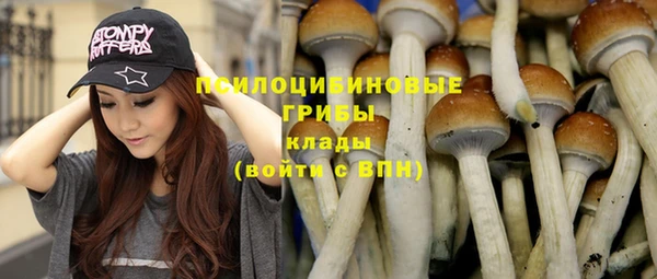 прущая мука Баксан