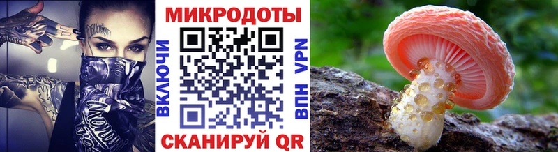 Галлюциногенные грибы ЛСД  Купино 